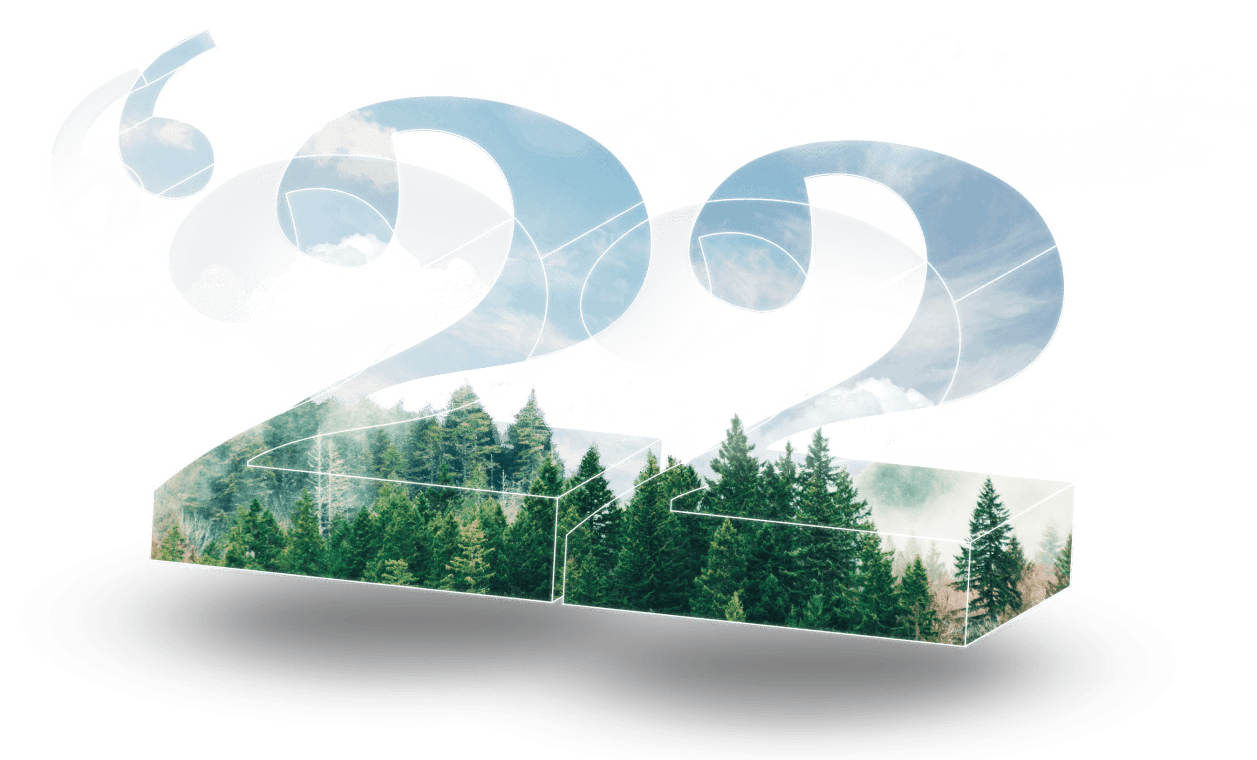 Годовой отчет 2022