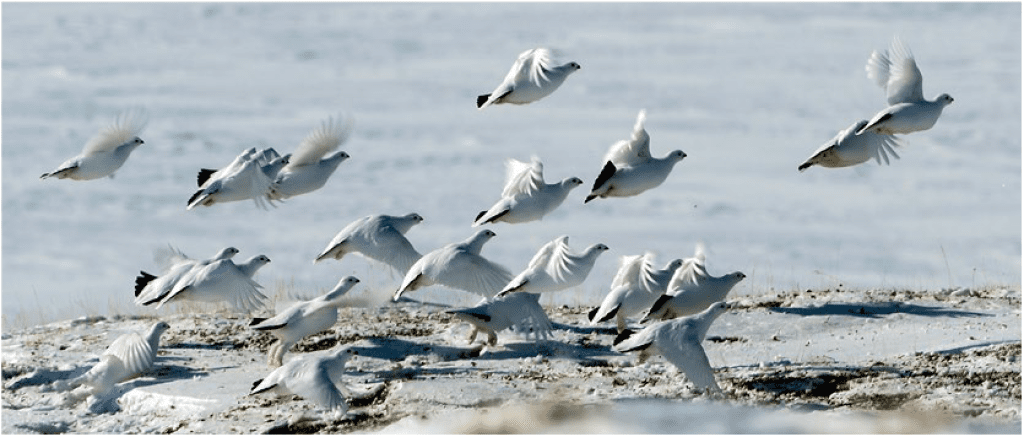 Ключевые показатели