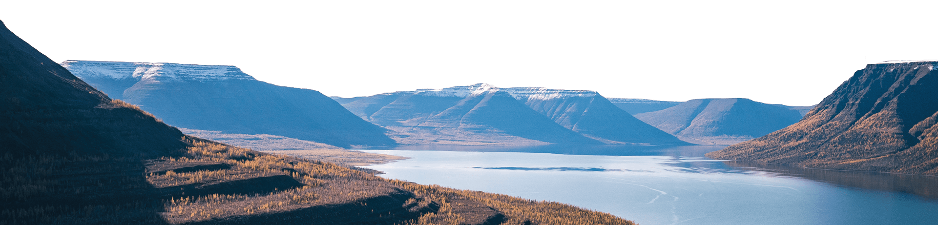 ОБЛИГАЦИИ И УПРАВЛЕНИЕ ДОЛГОМ